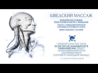 swedish massage. work with the muscles of the shoulder girdle.