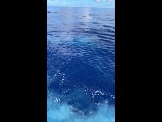 quiet day in the pacific ocean