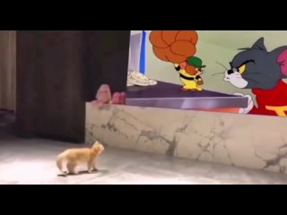 video from @videfunny | @videfunny