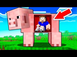 [vladus] i got inside the pig and that's why in minecraft