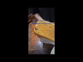 video by is overheard a great ustyug